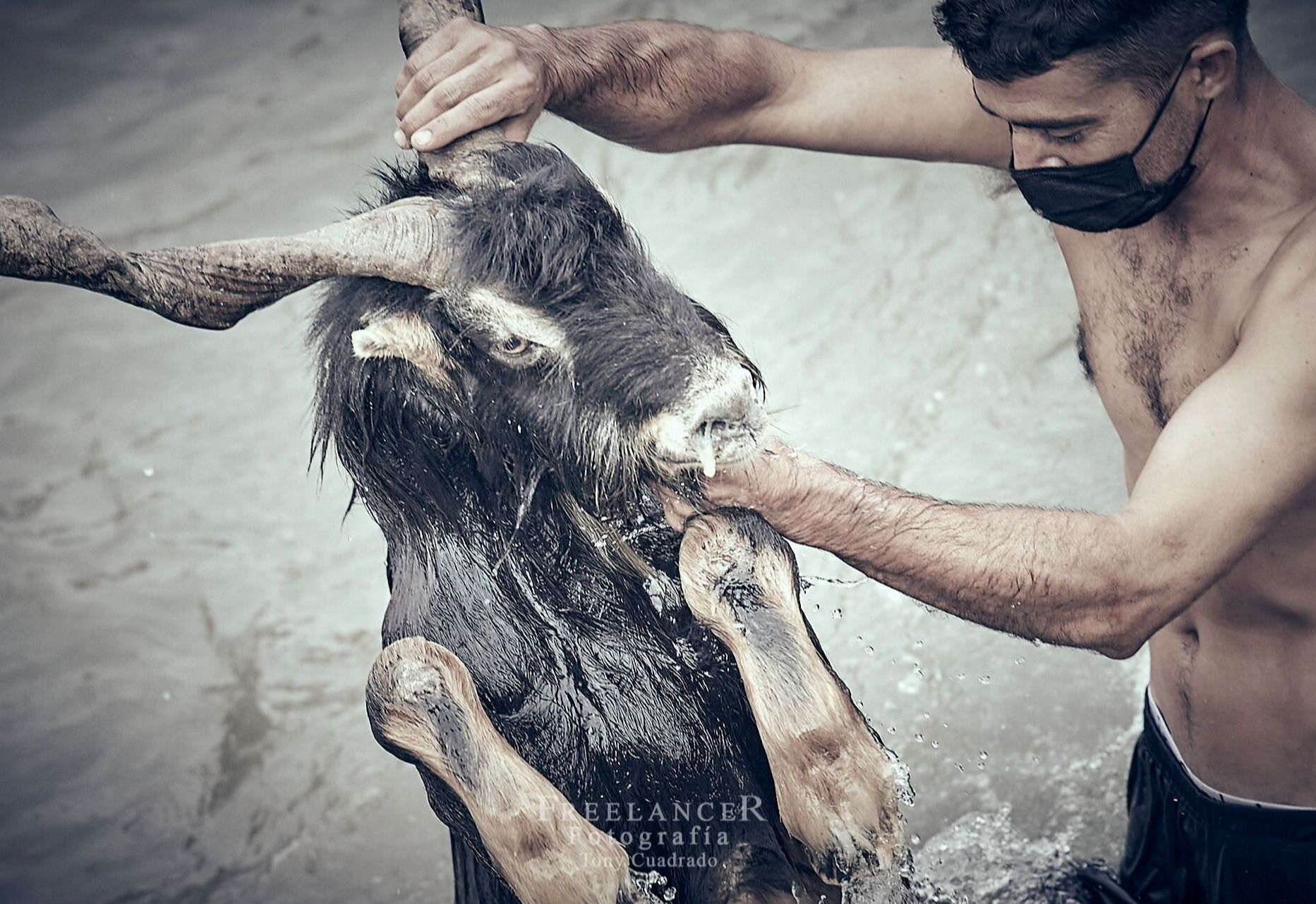 Fotógrafo Freelance Tony Cuadrado - 210624-bano-tradicional-cabras-tc-01.jpg